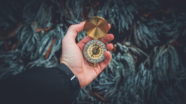The Network Pro: Powering IT with Humanity and Excellence